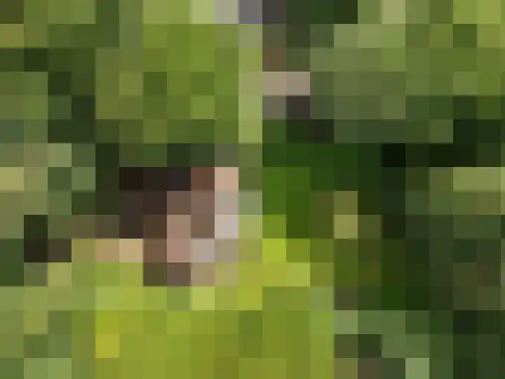 Oude Zoomweg 15 Wageningen thumbnail 24