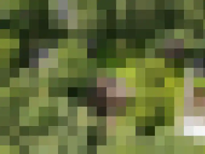 Oude Zoomweg 15 Wageningen thumbnail 25