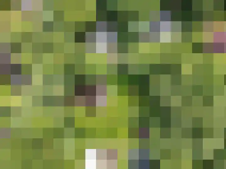 Oude Zoomweg 15 Wageningen thumbnail 26