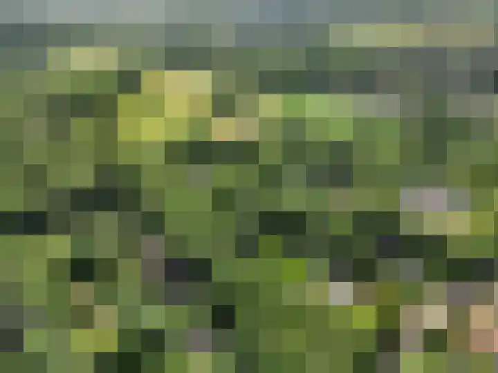 Oude Zoomweg 15 Wageningen thumbnail 27