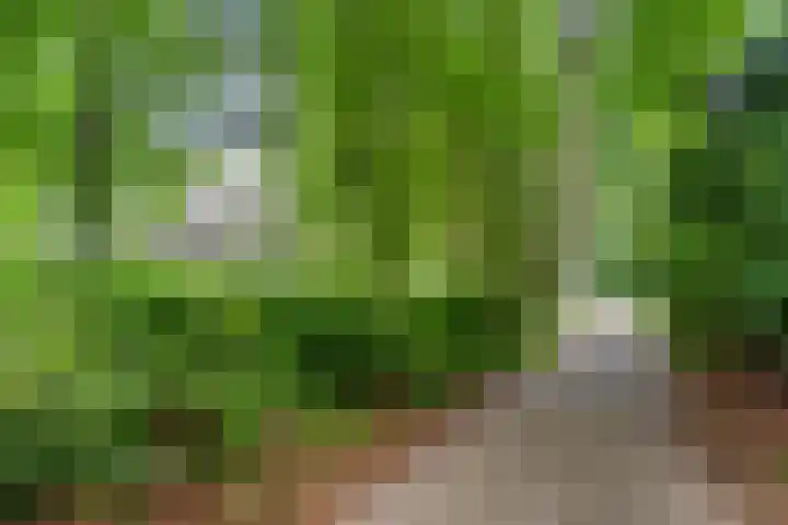 Oude Zoomweg 15 Wageningen thumbnail 31