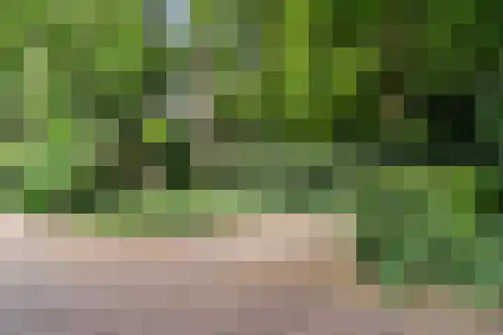 Oude Zoomweg 15 Wageningen thumbnail 32