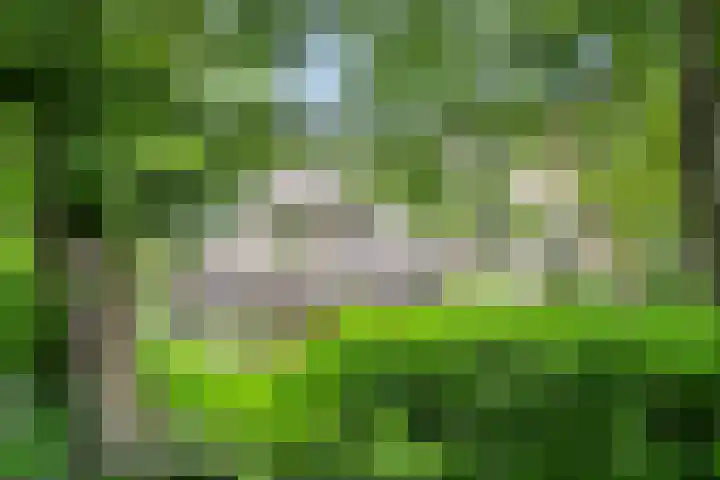 Oude Zoomweg 15 Wageningen thumbnail 4