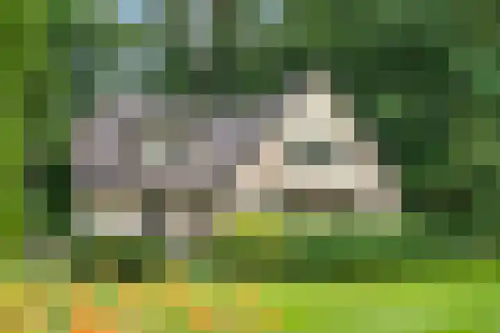 Oude Zoomweg 15 Wageningen thumbnail 5