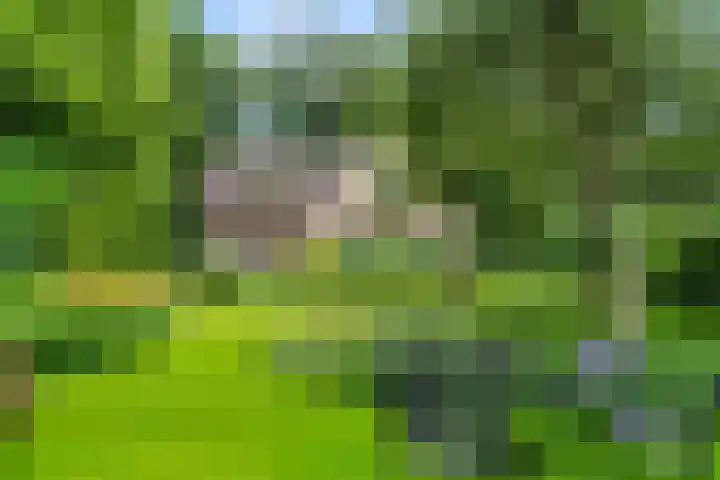 Oude Zoomweg 15 Wageningen thumbnail 6