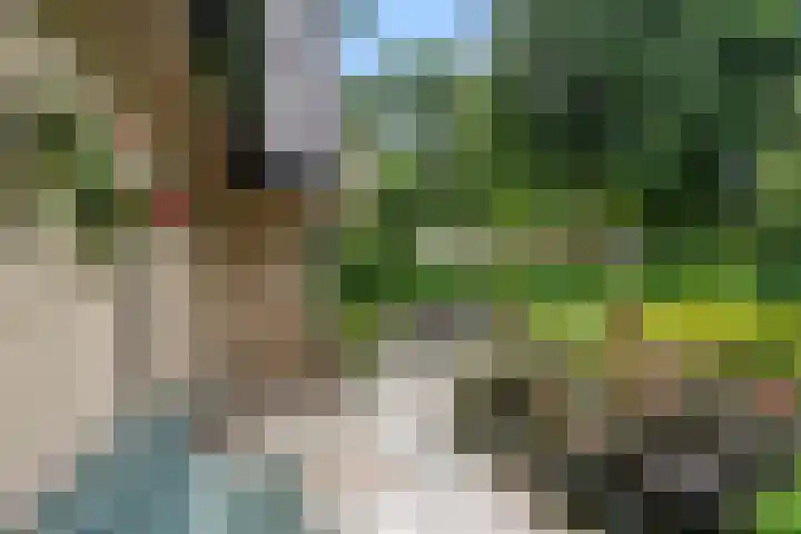 Oude Zoomweg 15 Wageningen thumbnail 7