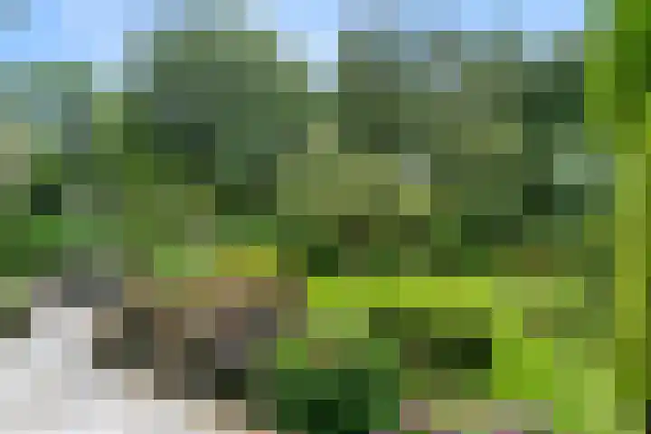 Oude Zoomweg 15 Wageningen thumbnail 8