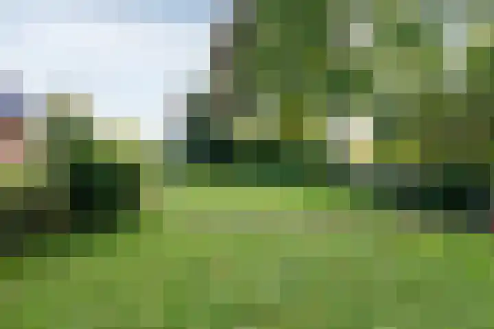 Oude Zuidbargerstraat 15 Emmen thumbnail 11