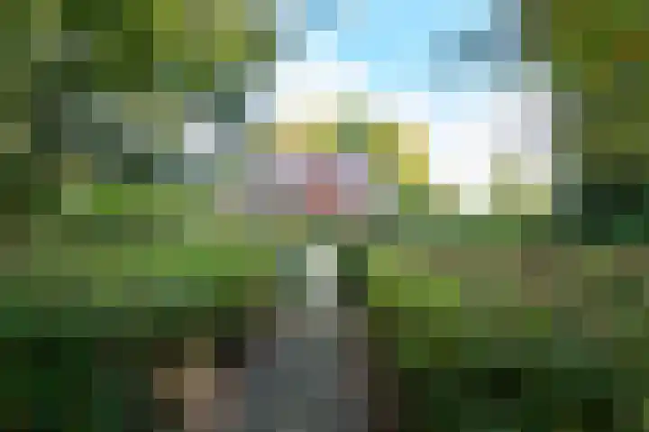 Oude Zuidbargerstraat 15 Emmen thumbnail 5