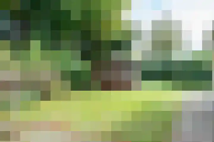 Oude Zuidbargerstraat 15 Emmen thumbnail 9