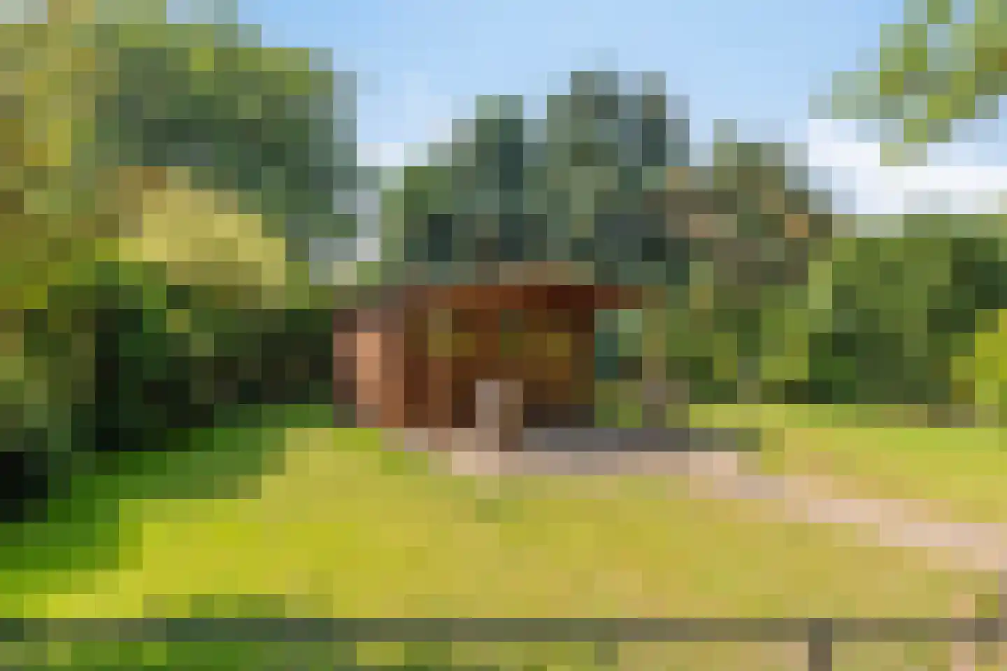 Oude Zuidbargerstraat 2 Emmen thumbnail 37