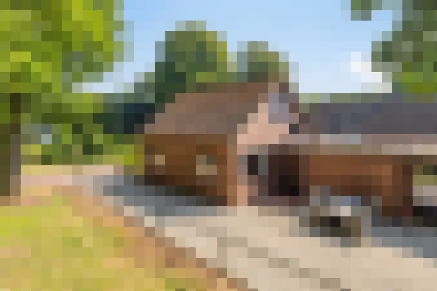 Oude Zuidbargerstraat 2 Emmen thumbnail 41