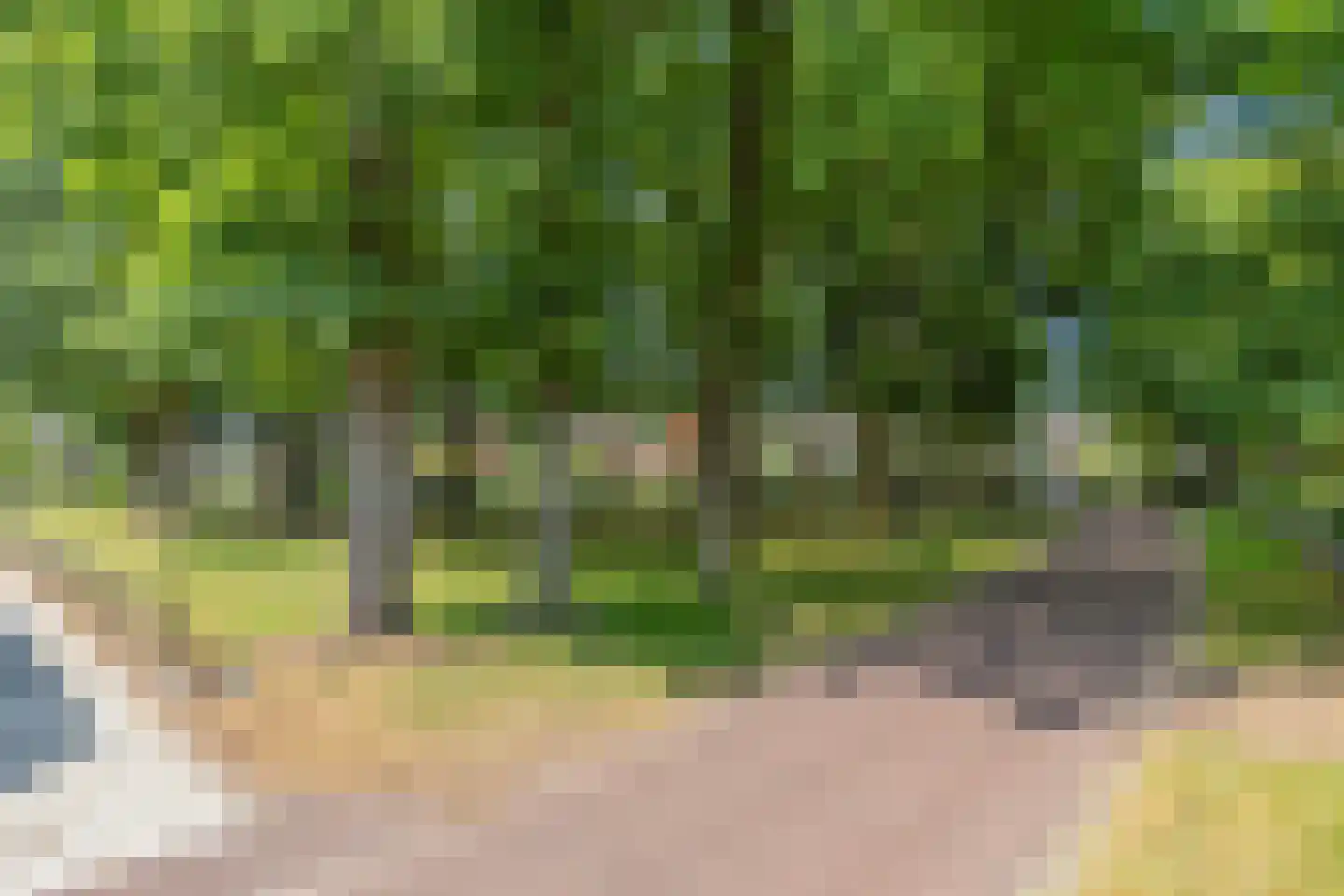 Oude Zuidbargerstraat 2 Emmen thumbnail 42