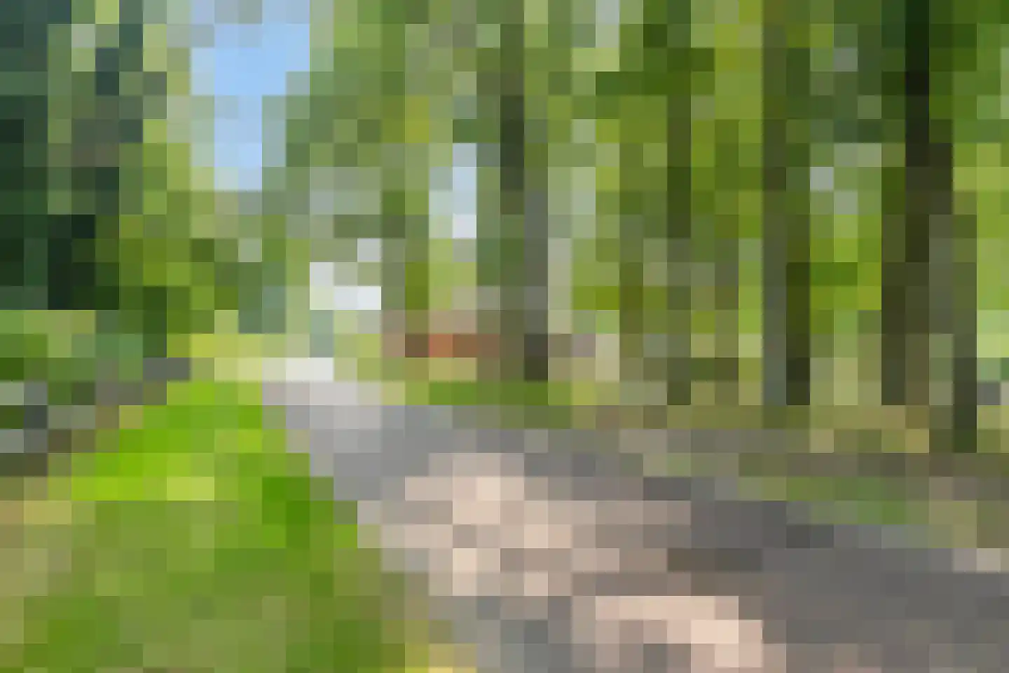 Oude Zuidbargerstraat 2 Emmen thumbnail 48