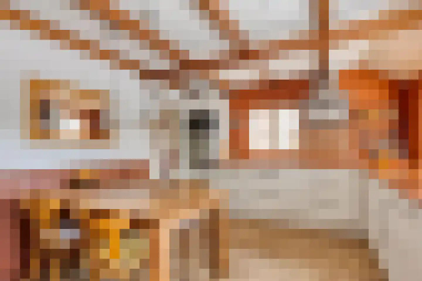 Oude Zuiderweg 11 Leek thumbnail 13