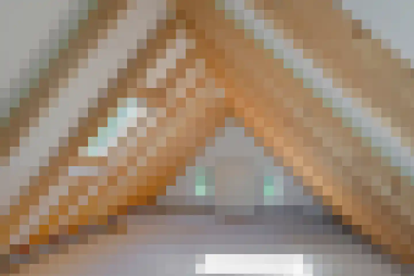 Oude Zuiderweg 11 Leek thumbnail 19