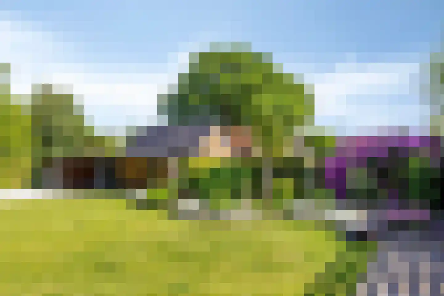 Oude Zuiderweg 11 Leek thumbnail 21