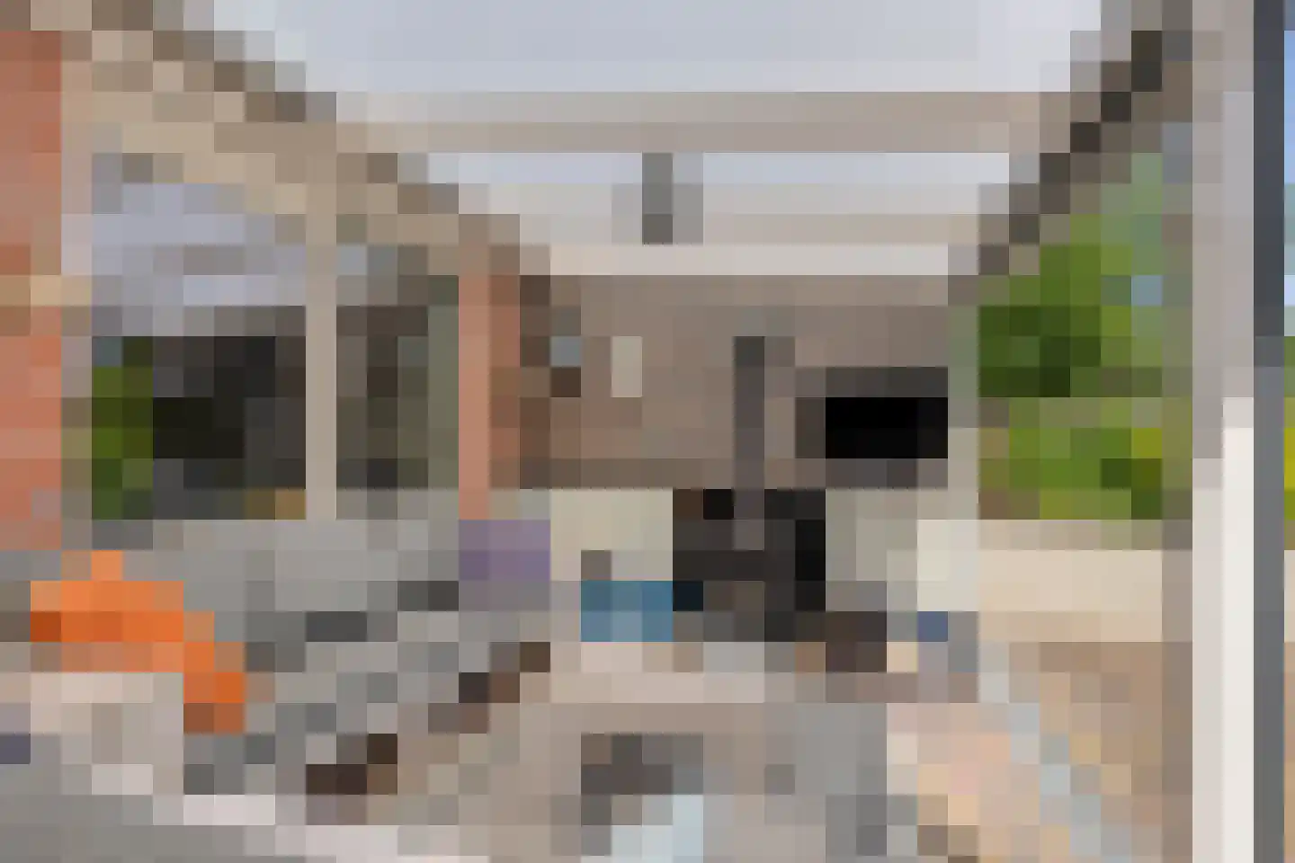 Oude Zuiderweg 11 Leek thumbnail 28