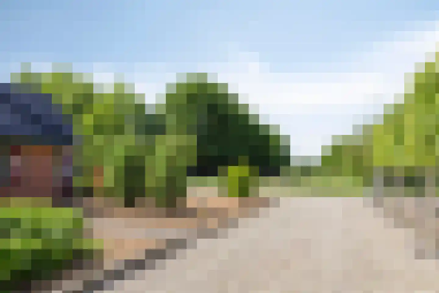 Oude Zuiderweg 11 Leek thumbnail 4