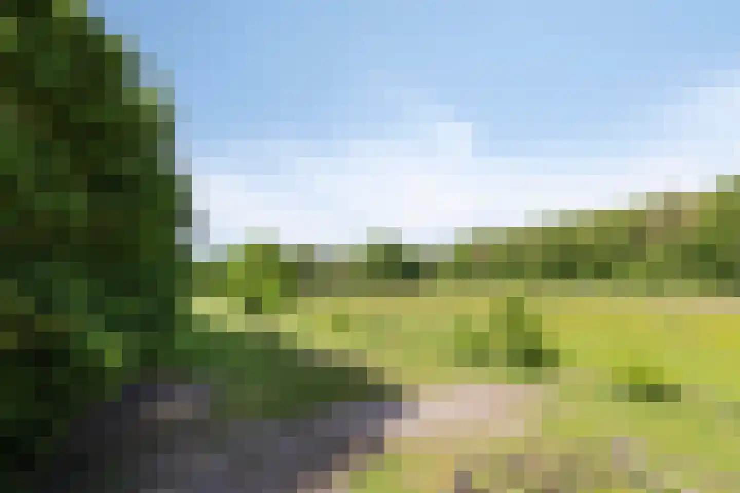 Oude Zuiderweg 11 Leek thumbnail 5