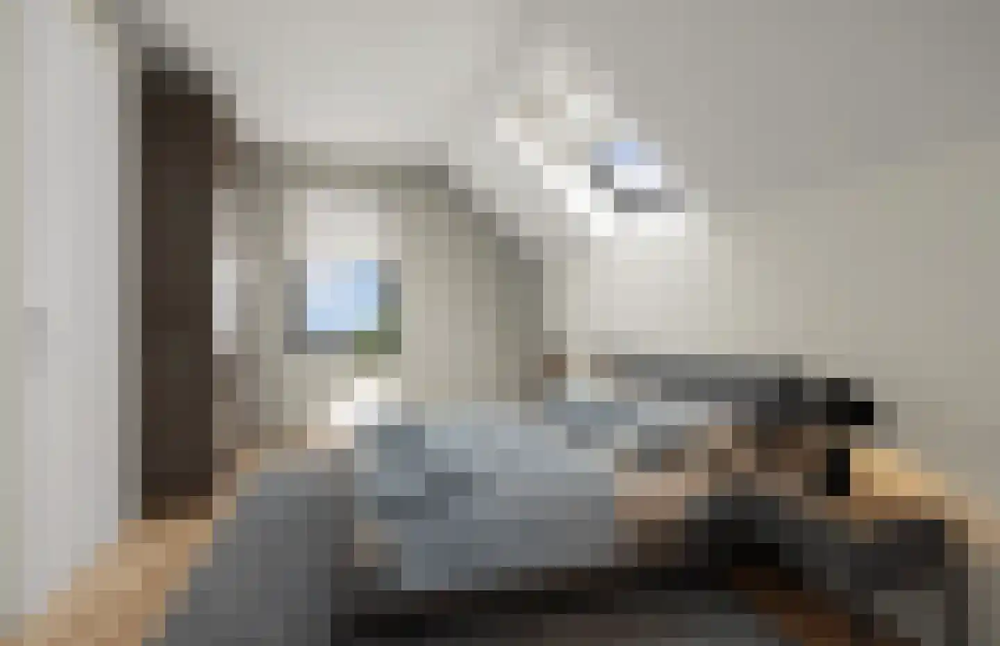 Oude Zuidwolderstraat 1 Dedemsvaart thumbnail 5