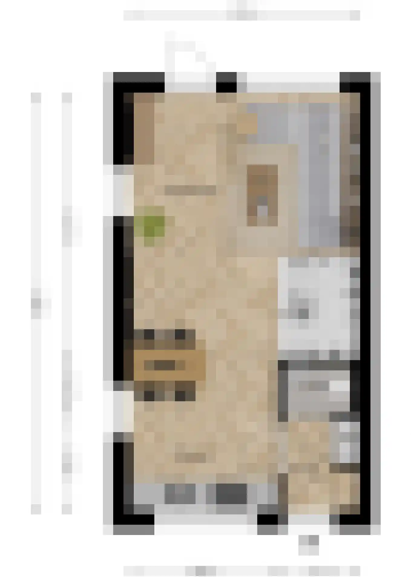 Oude Zuidwolderstraat 1 Dedemsvaart thumbnail 9