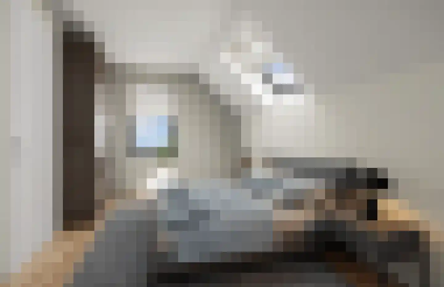 Oude Zuidwolderstraat 2 Dedemsvaart thumbnail 5