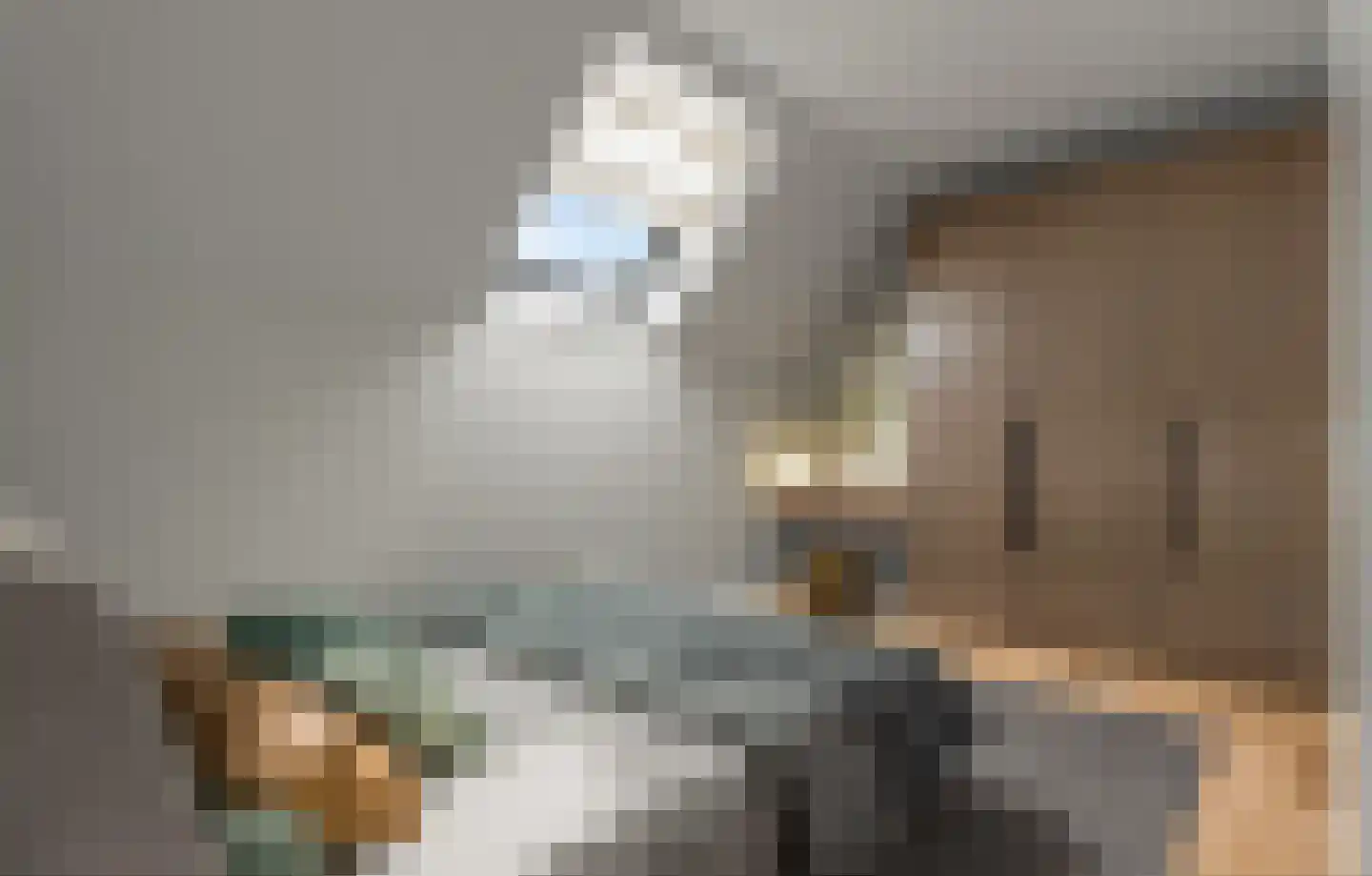 Oude Zuidwolderstraat 3 Dedemsvaart thumbnail 5