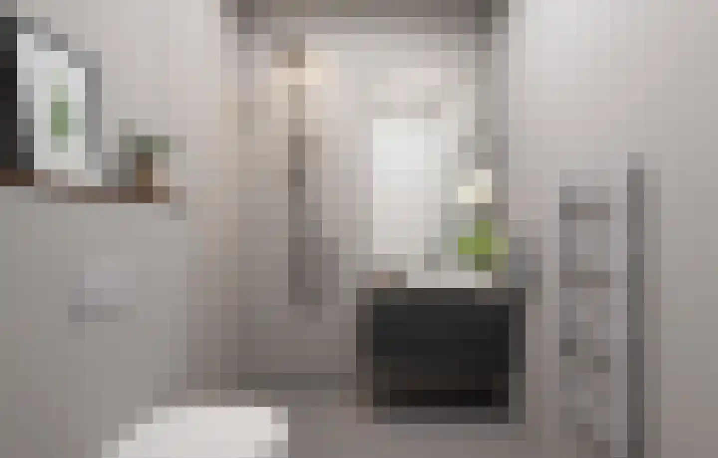 Oude Zuidwolderstraat 3 Dedemsvaart thumbnail 6