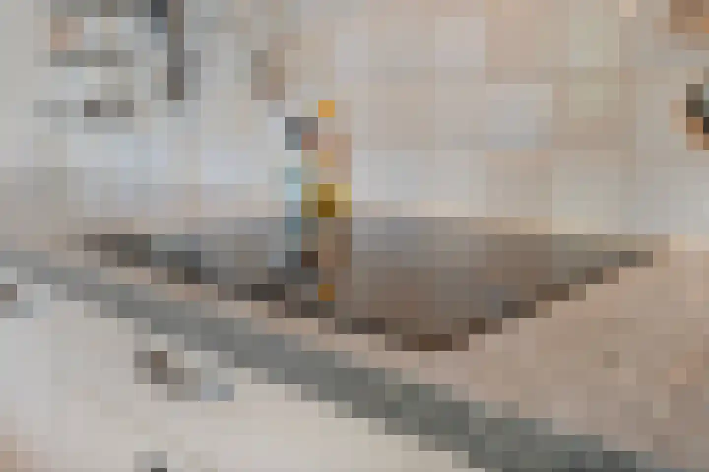Oude Zutphenseweg 10 Hall thumbnail 22