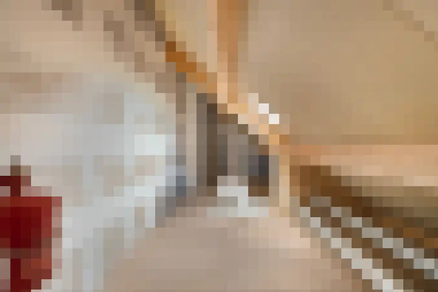 Oude Zutphenseweg 10 Hall thumbnail 46