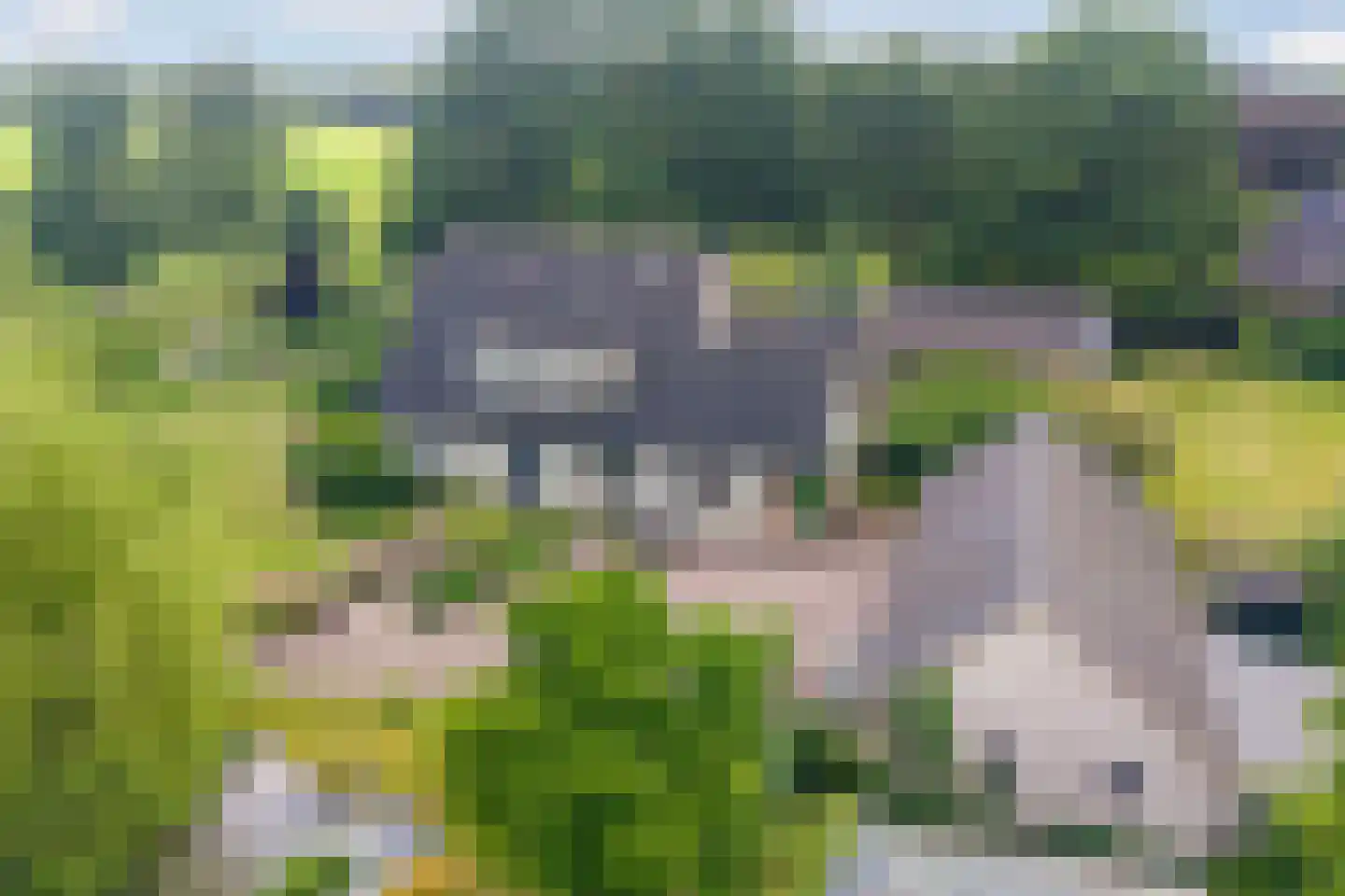 Oude Zutphenseweg 10 Hall thumbnail 47