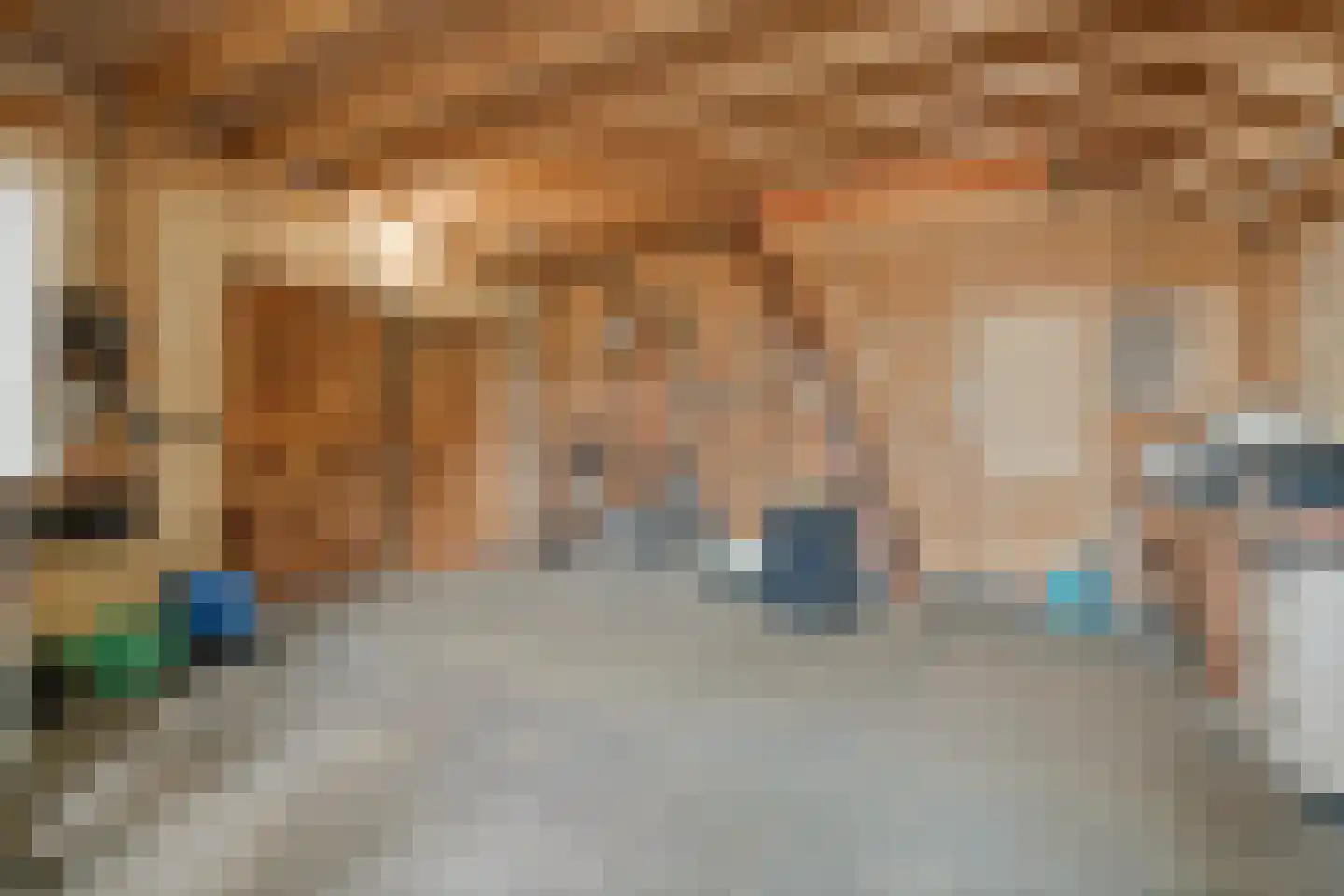 Oude Zutphenseweg 10 Hall thumbnail 54