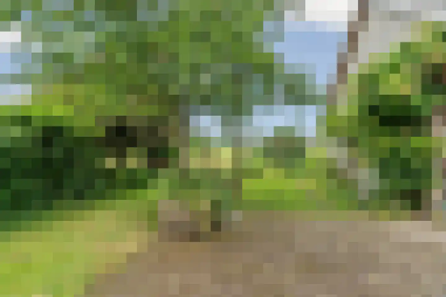 Oude Zutphenseweg 10 Hall thumbnail 56