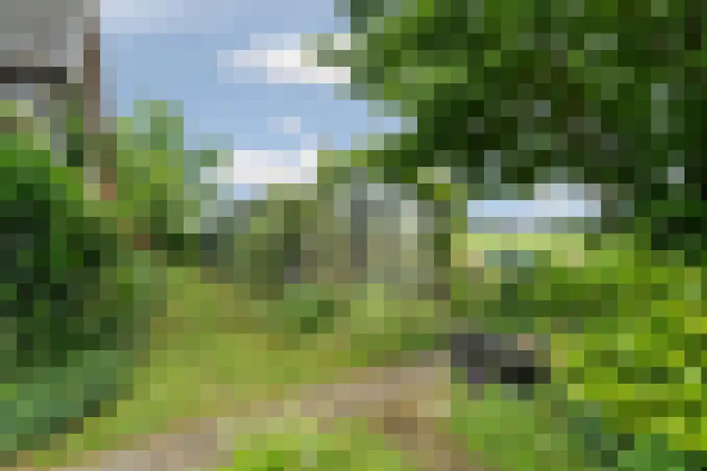 Oude Zutphenseweg 10 Hall thumbnail 58