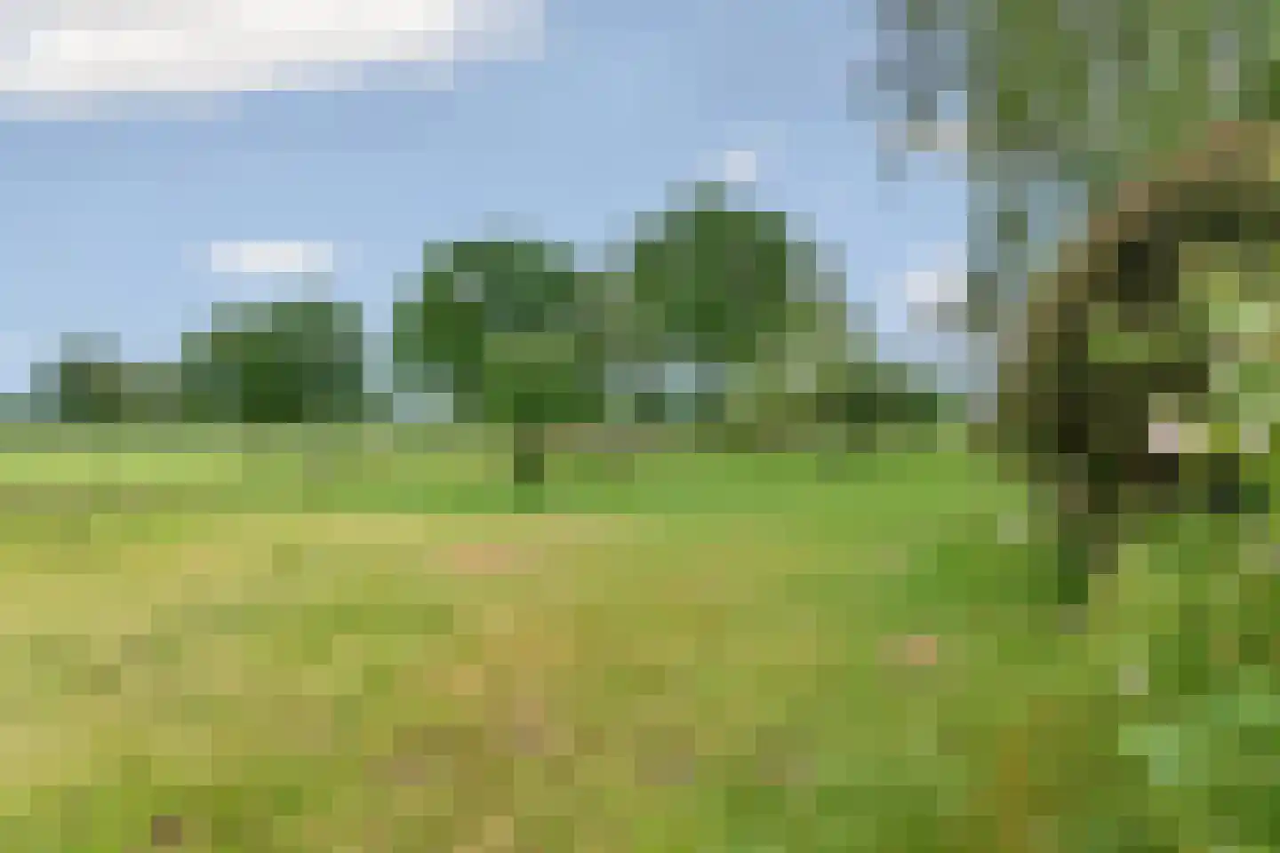 Oude Zutphenseweg 10 Hall thumbnail 60