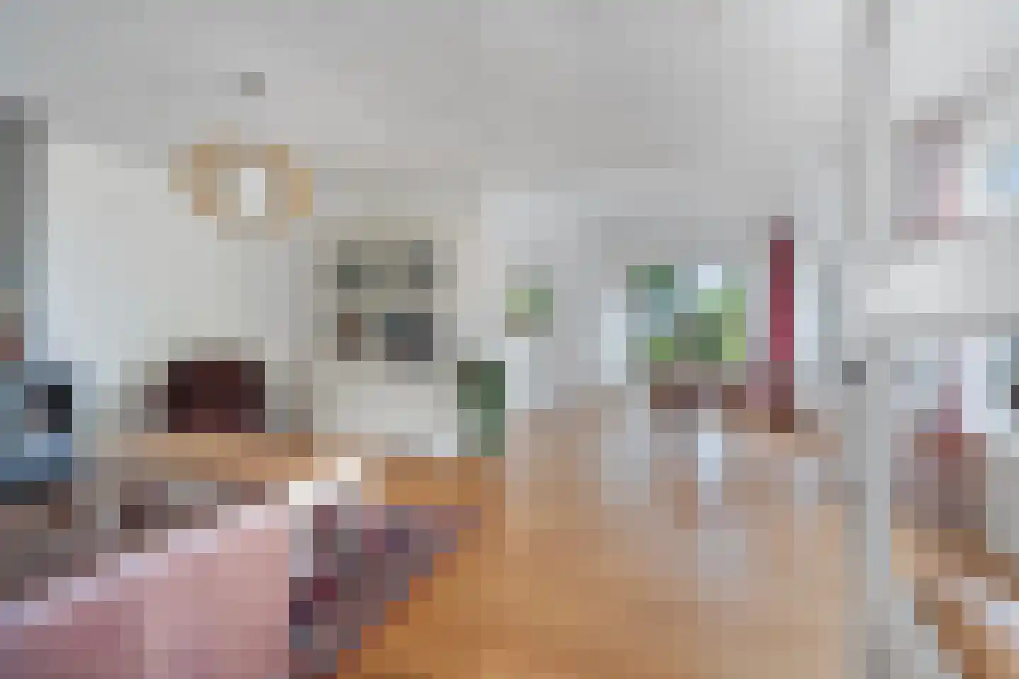 Oude Zutphenseweg 10 Hall thumbnail 8