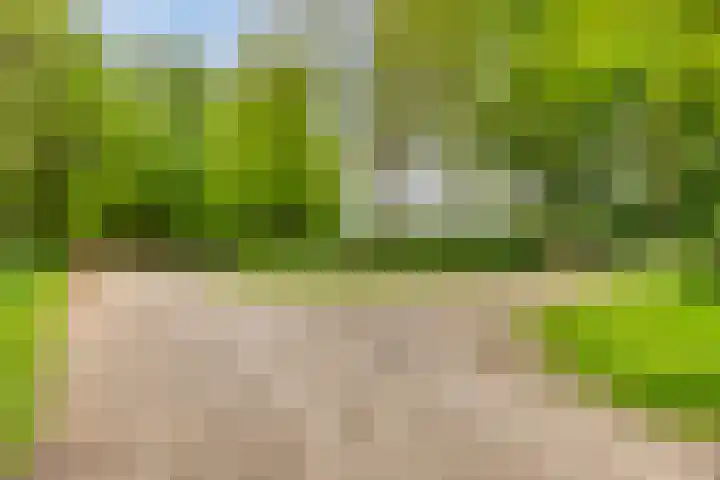 Oude Zutphenseweg 11 Hoog-Keppel thumbnail 100