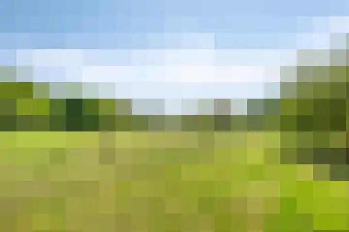 Oude Zutphenseweg 11 Hoog-Keppel thumbnail 101