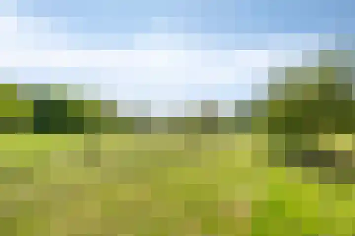 Oude Zutphenseweg 11 Hoog-Keppel thumbnail 103