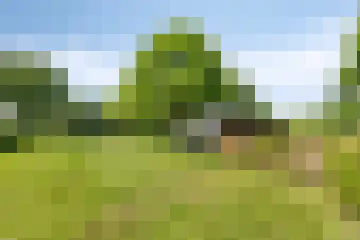 Oude Zutphenseweg 11 Hoog-Keppel thumbnail 106