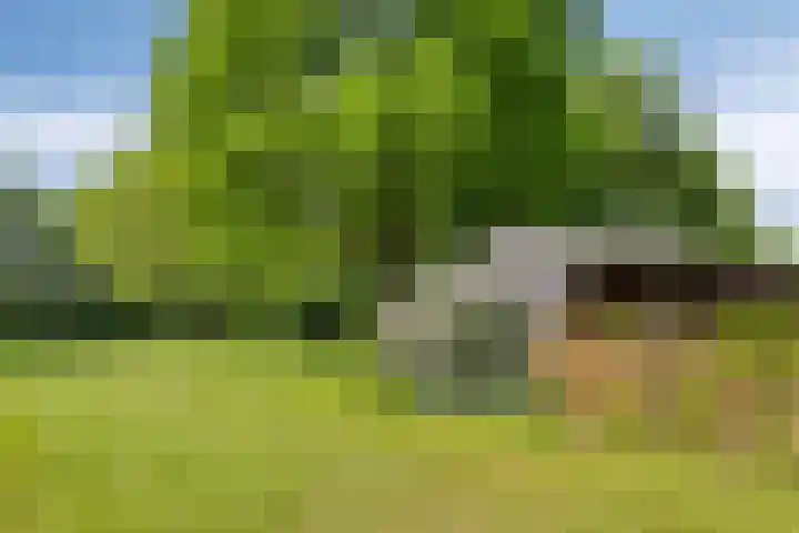 Oude Zutphenseweg 11 Hoog-Keppel thumbnail 107