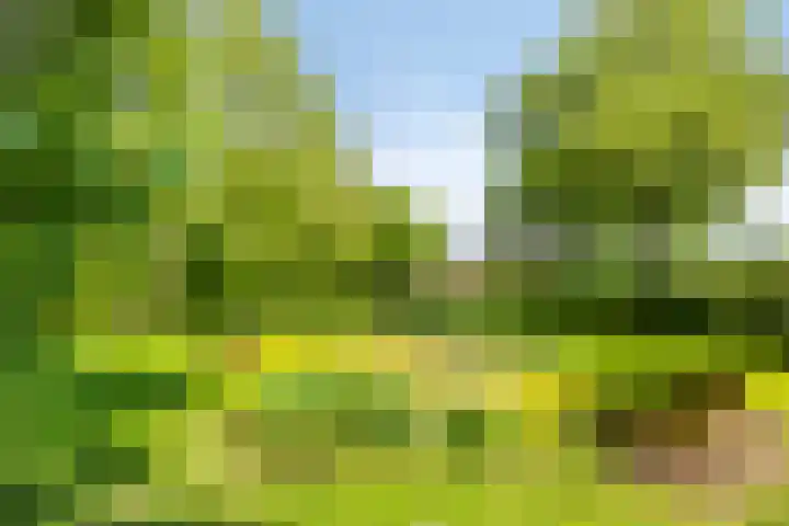 Oude Zutphenseweg 11 Hoog-Keppel thumbnail 108