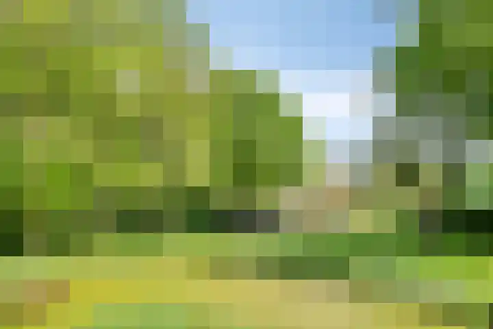 Oude Zutphenseweg 11 Hoog-Keppel thumbnail 109