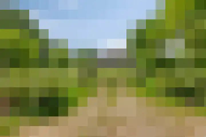 Oude Zutphenseweg 11 Hoog-Keppel thumbnail 11