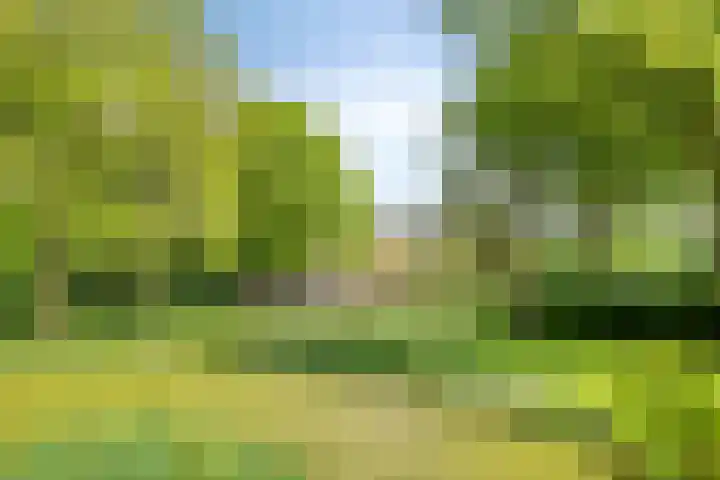 Oude Zutphenseweg 11 Hoog-Keppel thumbnail 110