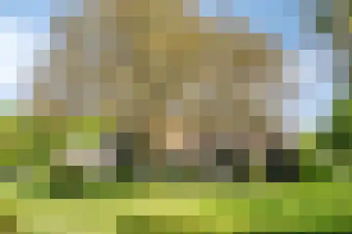 Oude Zutphenseweg 11 Hoog-Keppel thumbnail 111
