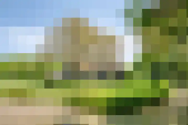 Oude Zutphenseweg 11 Hoog-Keppel thumbnail 112