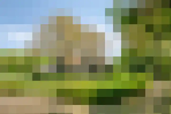 Oude Zutphenseweg 11 Hoog-Keppel thumbnail 113