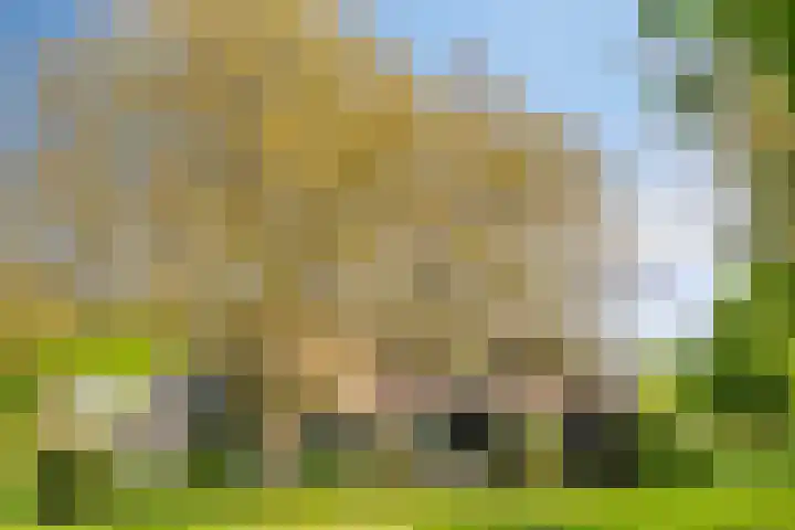 Oude Zutphenseweg 11 Hoog-Keppel thumbnail 114